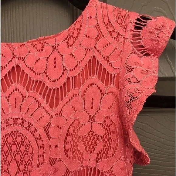 NWT JOYFOLIE Macy Dress Lace Crochet Bodice (3 Girls) Color Wild Rose - Picture 5 of 13